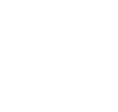 Certified Made with Natural Ingredients icon - naturally sourced ingredients, free from synthetic additives & preservatives.