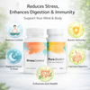 Conquer Stress Bundle