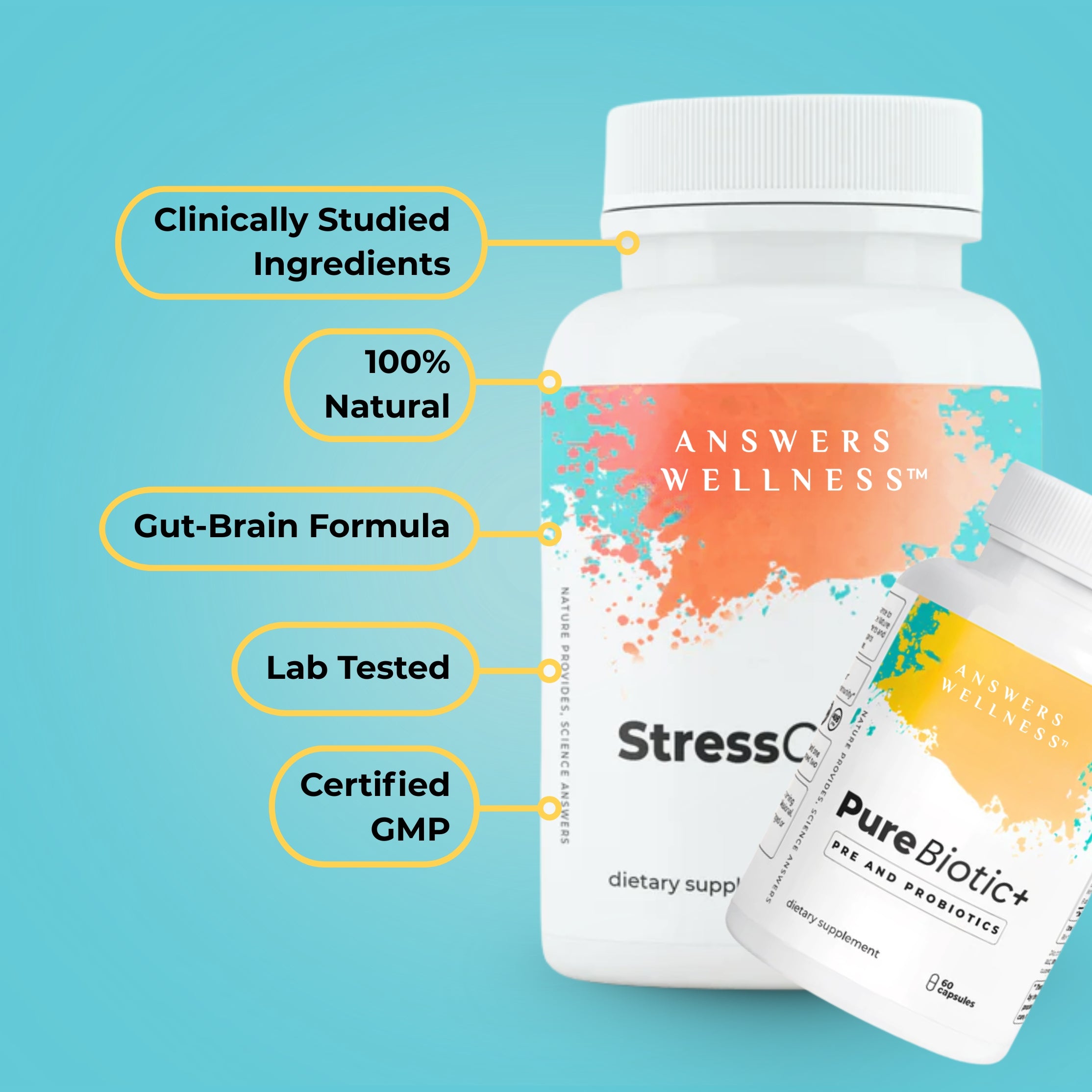 Conquer Stress Bundle