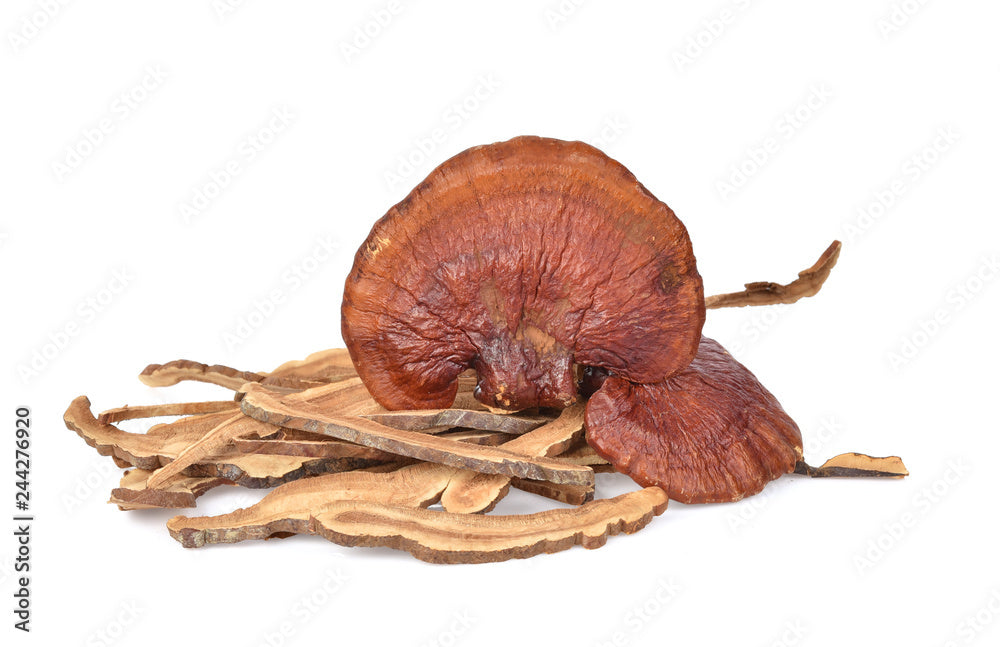 Organic Reishi mushroom beta-glucans easing fatigue and tension in StressControl by Answers Wellness stress-support capsules